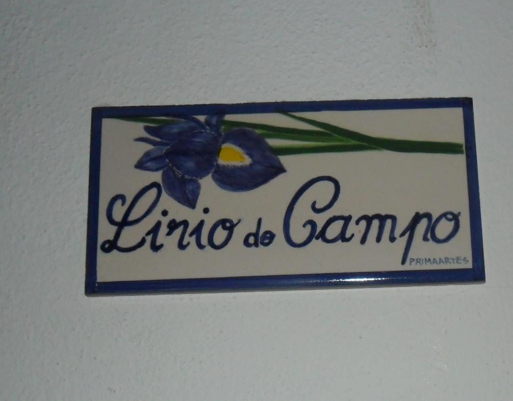Cercal do Alentejo Apartamentos Bau-Doce מראה חיצוני תמונה