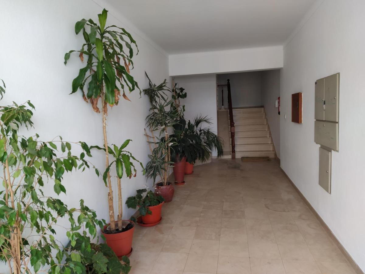 Cercal do Alentejo Apartamentos Bau-Doce מראה חיצוני תמונה