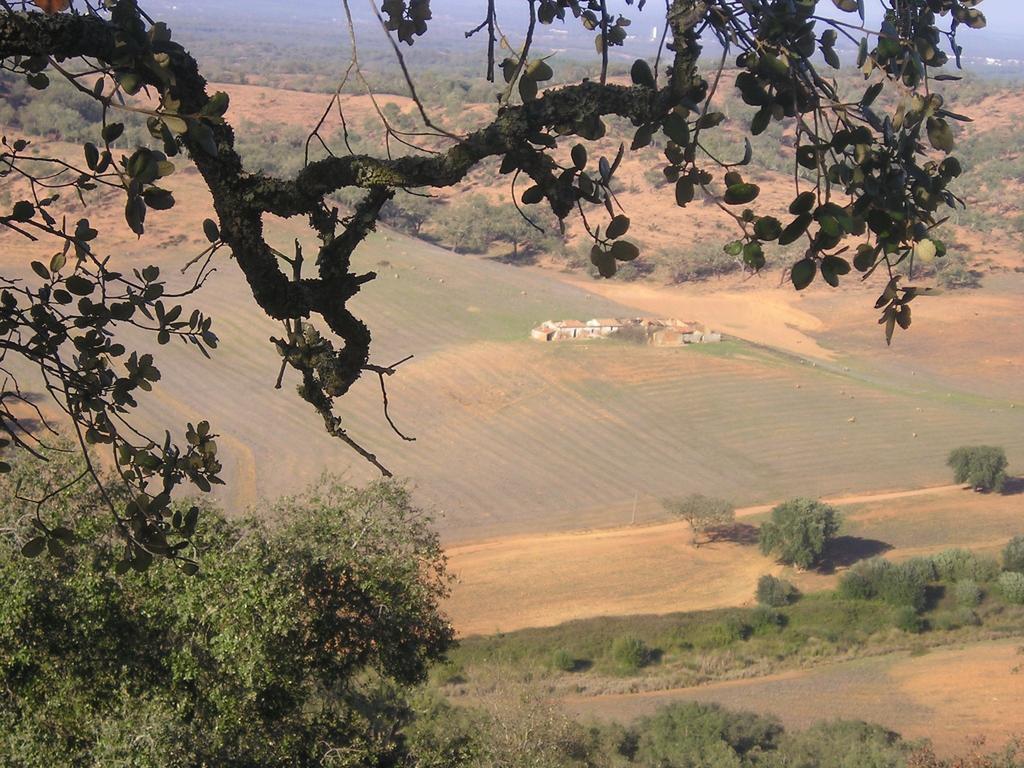 Cercal do Alentejo Apartamentos Bau-Doce חדר תמונה