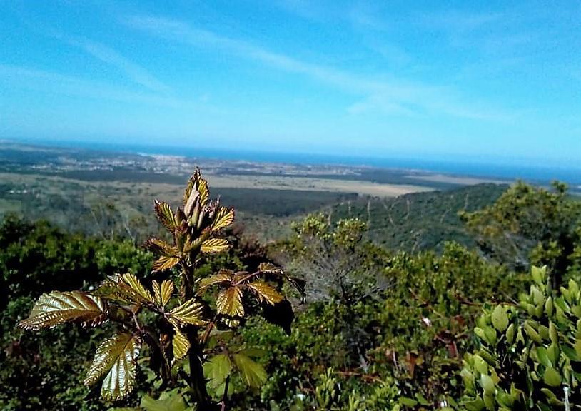 Cercal do Alentejo Apartamentos Bau-Doce מראה חיצוני תמונה